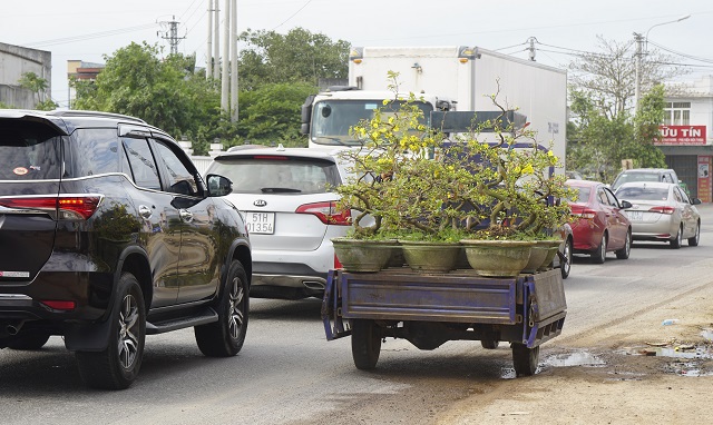 Dân buôn hoa Tết lỗ méo mặt, dịch vụ rửa xe tăng giá gấp 4 lần - 3