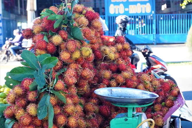 Tiểu thương than trái cây đầu vào đội giá do ảnh hưởng dịch Covid-19 - 5