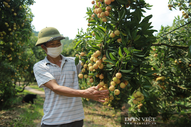 Khẩu hiệu lạ khắp vùng, dân bảo nhau bảo vệ kho báu hàng nghìn tỷ đồng - 1