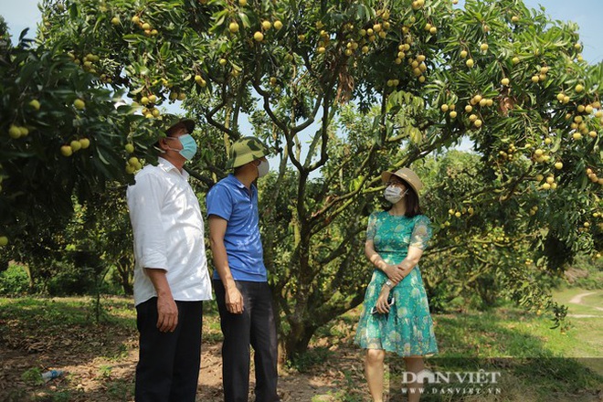 Khẩu hiệu lạ khắp vùng, dân bảo nhau bảo vệ kho báu hàng nghìn tỷ đồng - 3