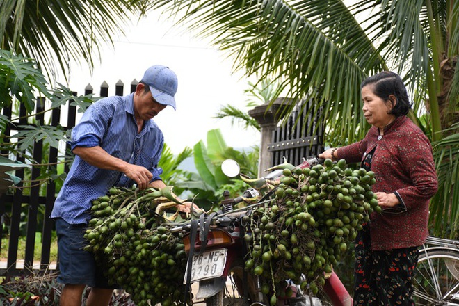 Một kg cau bằng 5 kg gạo, nông dân trúng đậm bất chấp dịch Covid-19 - 2