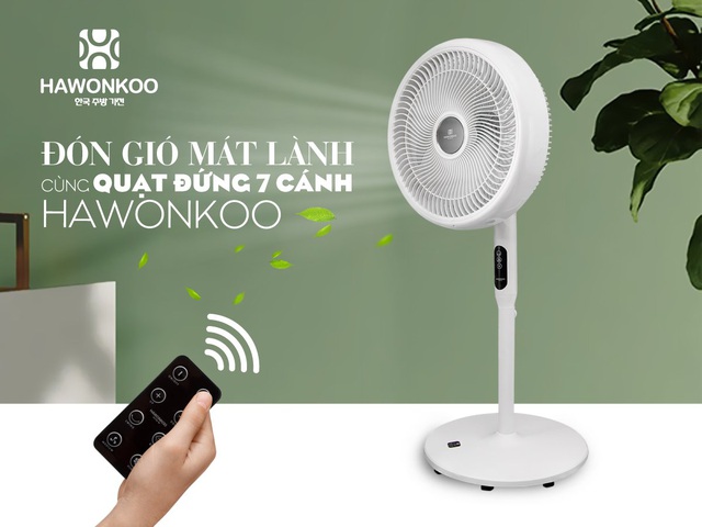 Cháy hàng quạt đứng Hàn Quốc: Vì sao? - 3