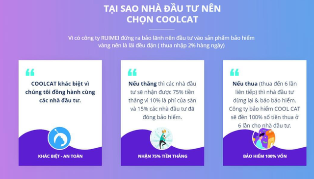 Mang cả gia tài đầu tư vào app, app tặng lại một khoản nợ khổng lồ - 1