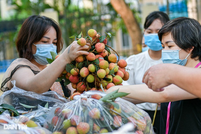 Luồng xanh cho nông sản và góc nhìn tiêu dùng ở thị trường 100 triệu dân - 3