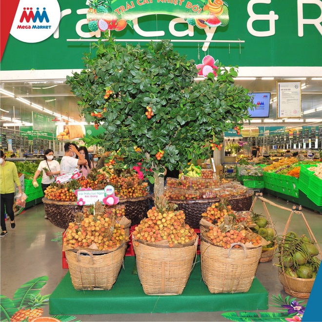 MM Mega Market đồng hành cùng Bắc Giang tiêu thụ hàng trăm tấn nông sản - 1