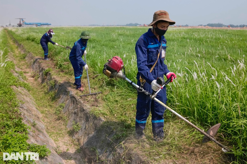 Sân bay Nội Bài hóa chảo lửa trong ngày nắng nóng đỉnh điểm - 8