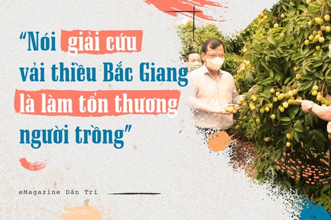 Nói giải cứu vải thiều Bắc Giang là làm tổn thương người trồng