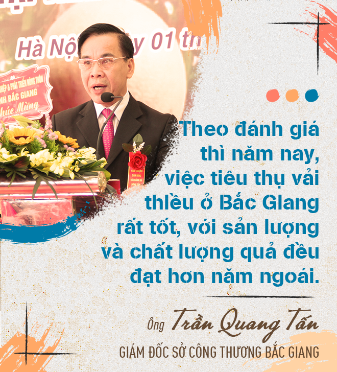 Nói giải cứu vải thiều Bắc Giang là làm tổn thương người trồng - 3