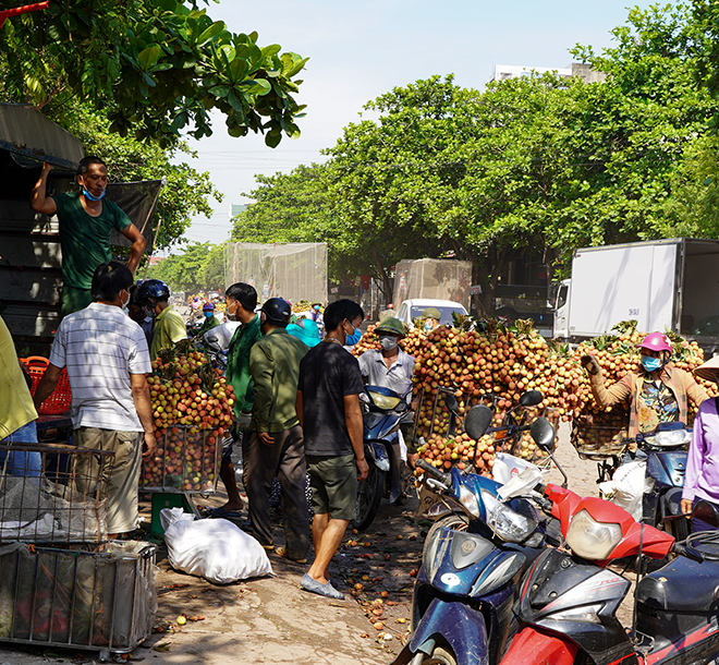 Nói giải cứu vải thiều Bắc Giang là làm tổn thương người trồng - 6