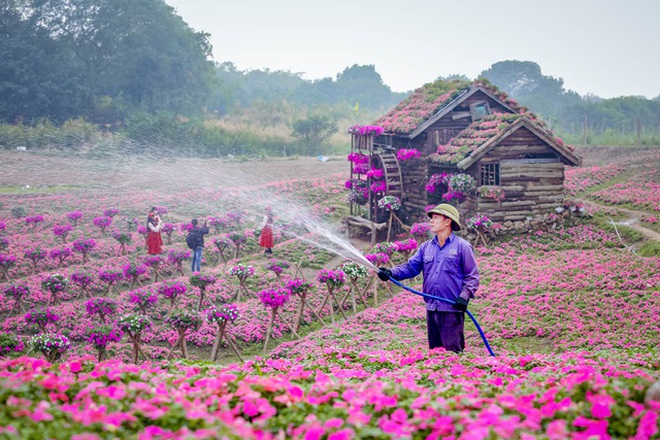 Phim trường 40.000 m2 đóng băng vì Covid-19, nhà đầu tư khóc ròng - 1