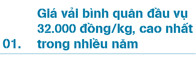 Nói giải cứu vải thiều Bắc Giang là làm tổn thương người trồng - 1