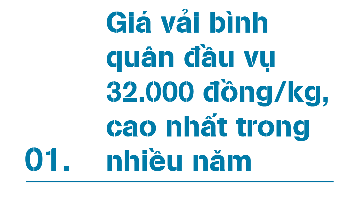 Nói giải cứu vải thiều Bắc Giang là làm tổn thương người trồng - 2