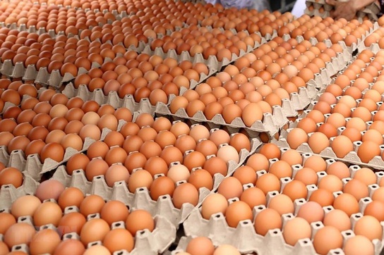 Trứng gà tăng giá gấp đôi vẫn cháy hàng