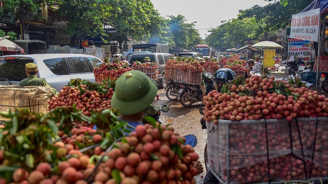 Bật đèn ưu tiên vận chuyển nông sản từ Bắc Giang tới cửa khẩu biên giới - 1